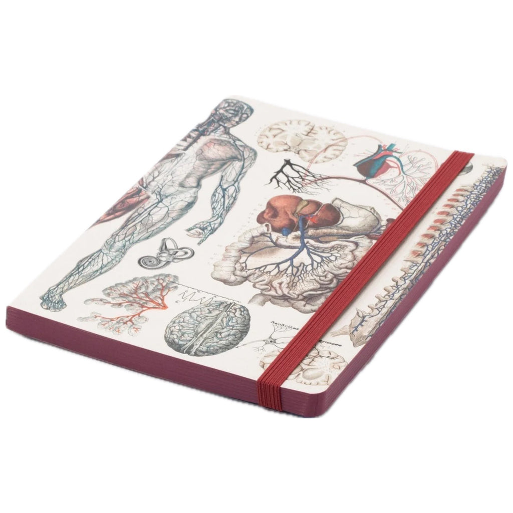 Angle view of Anatomy & Physiology Softcover Journal.