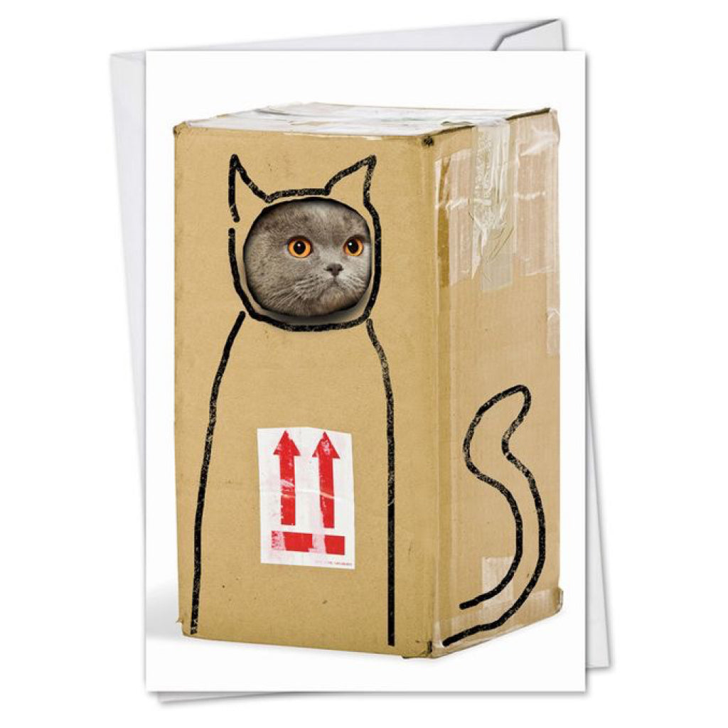 Another great birthday card with cats on them by Nobelworks featuring a cat in a box.