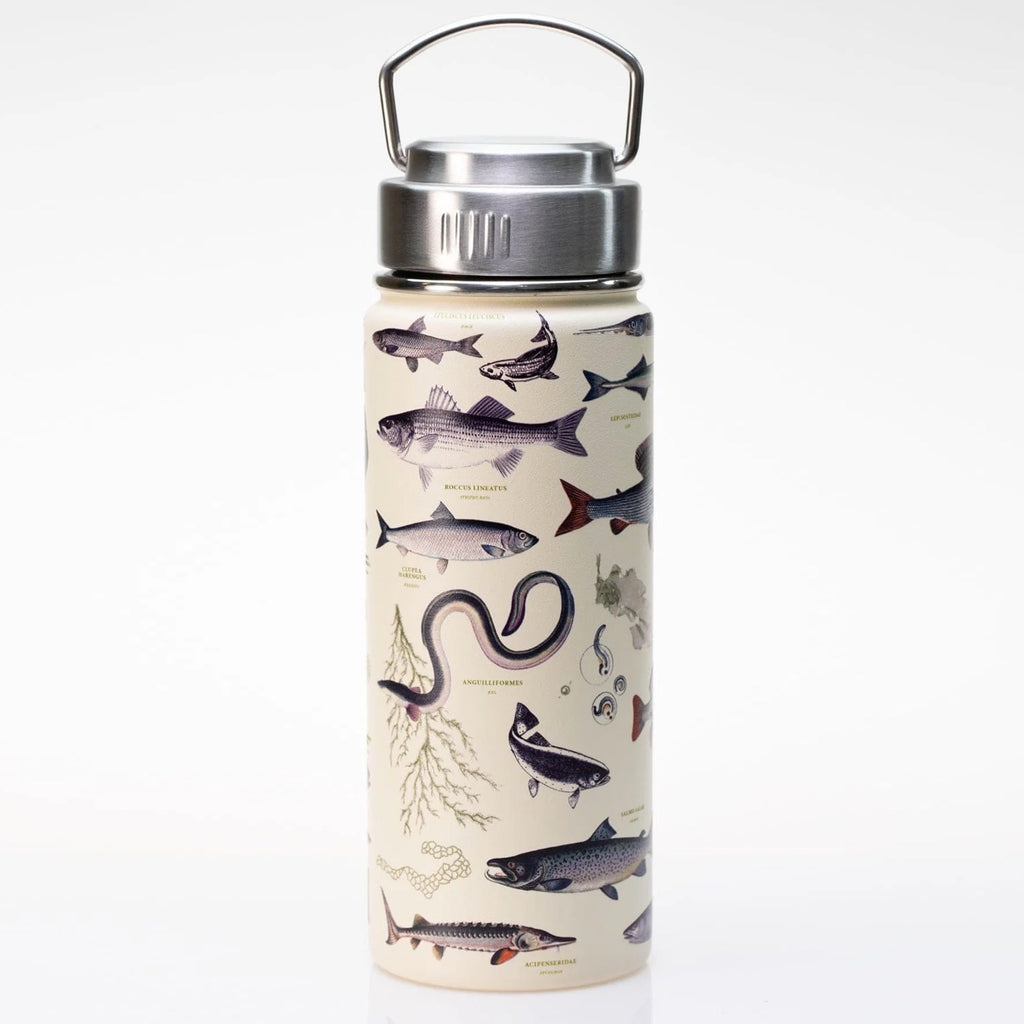 Back of Freshwater Fish 18 oz Stainless Steel Bottle.