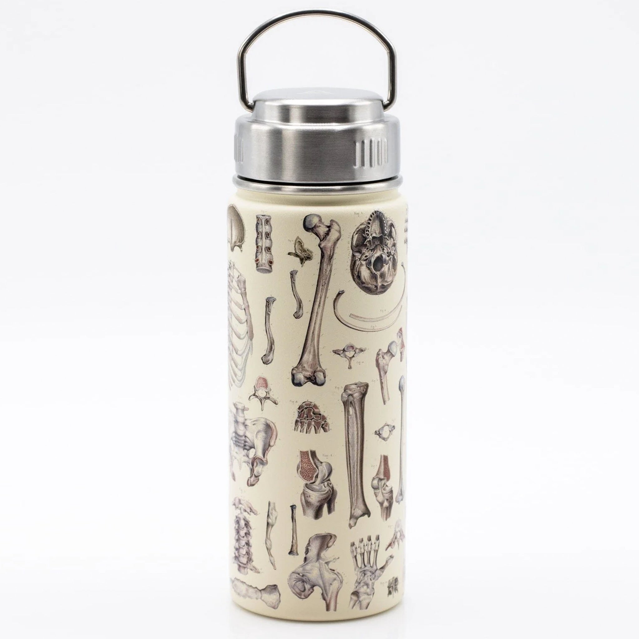 https://outerlayer.com/cdn/shop/products/back-of-skeleton-18-oz-stainless-steel-bottle.jpg?v=1696783835