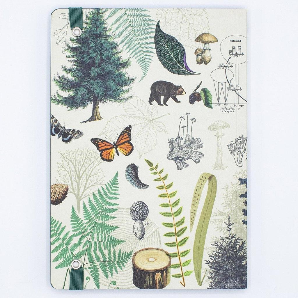 Back of Woodland Forest Softcover Journal.