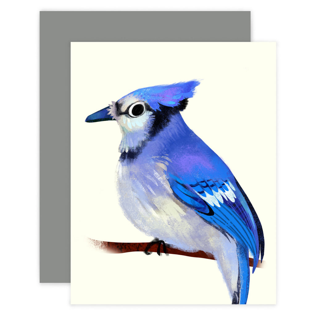 Blue Jay Bird Card