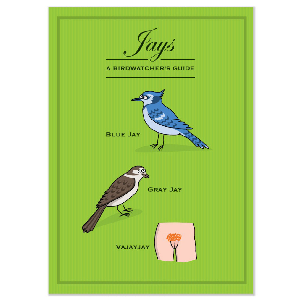 Blue Jay Vajayjay Card