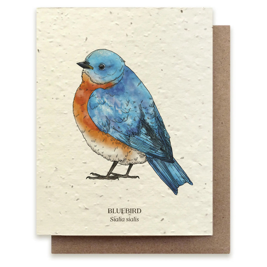 Bluebird Seed Paper Card