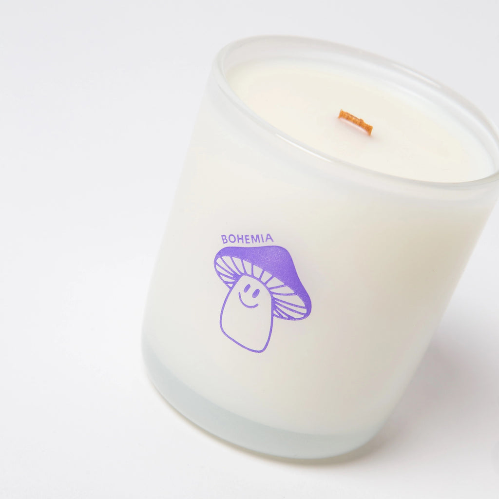 Bohemia Coconut Soy Candle on surface.