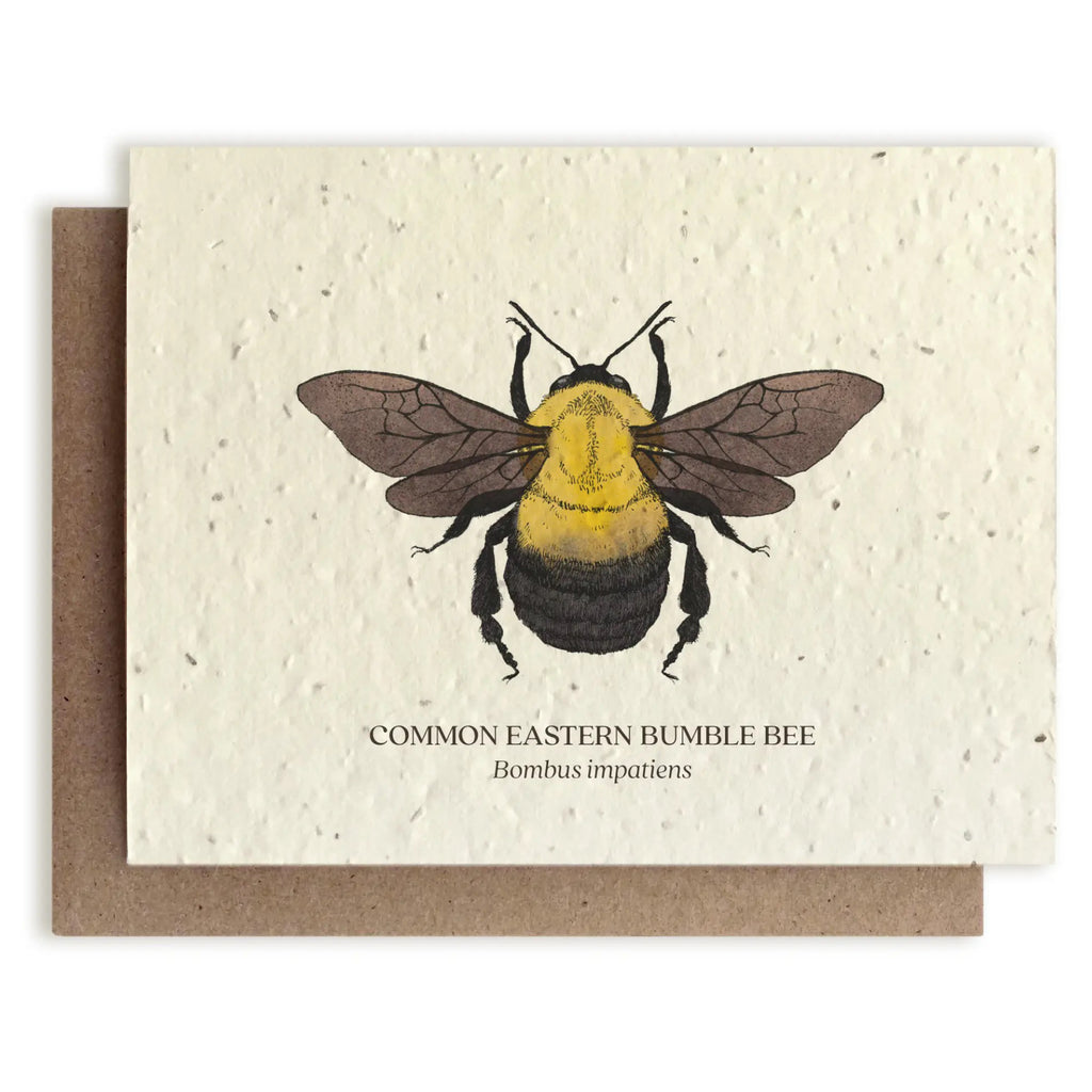 Bumble Bee Seed Paper Card