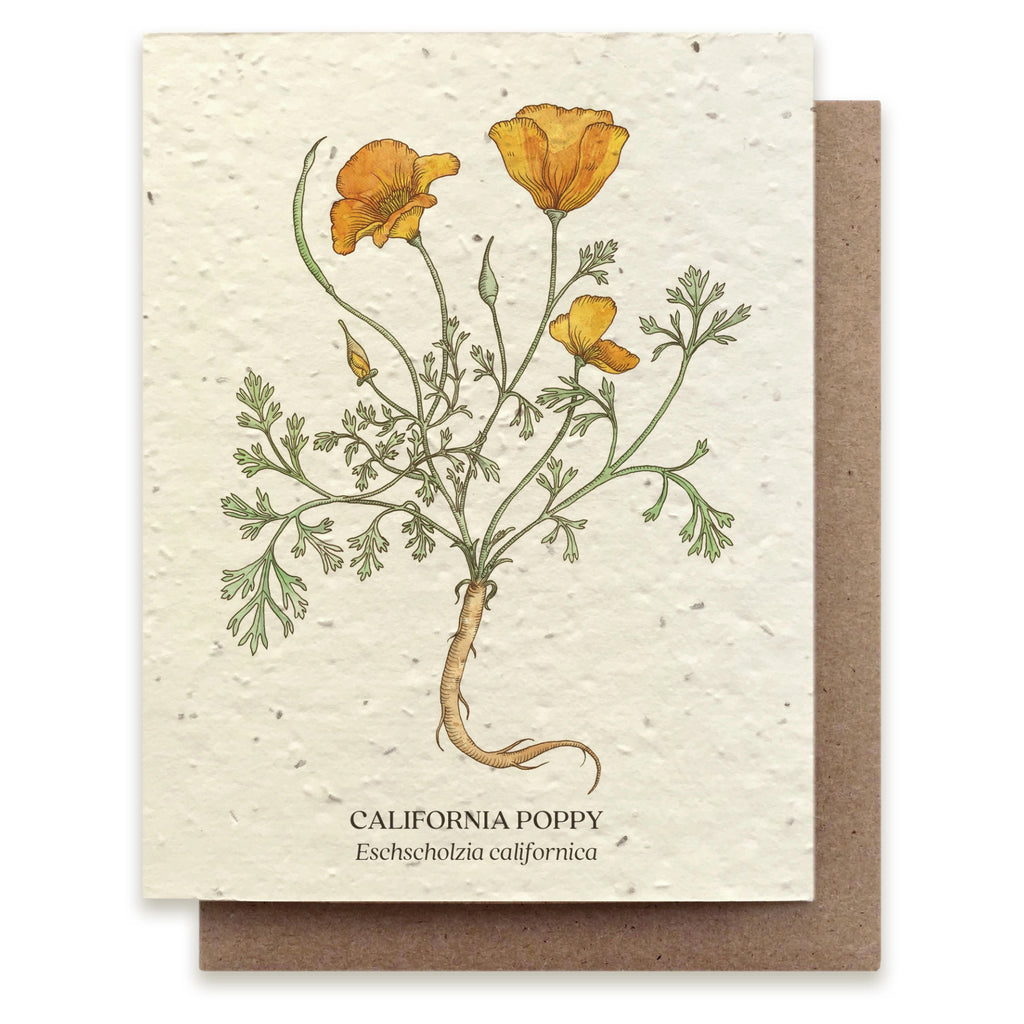 California Poppy Seed Paper Card