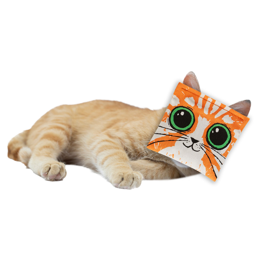 Cat wearing catnip toy.