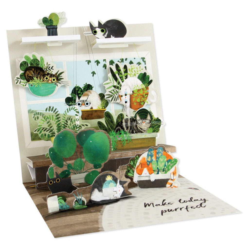 Cats In Plants Pop Up Card