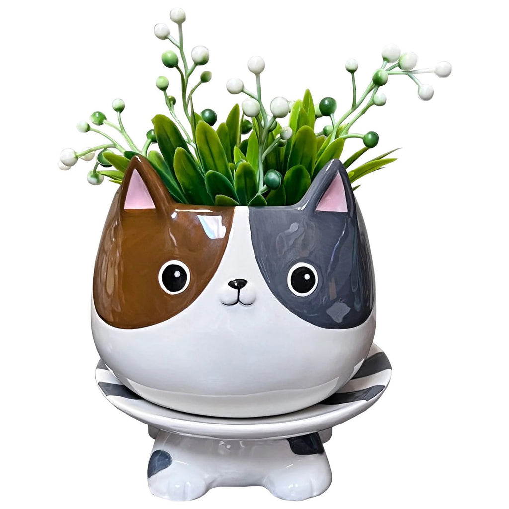 Cat's Meow Footsie Planter with plant.