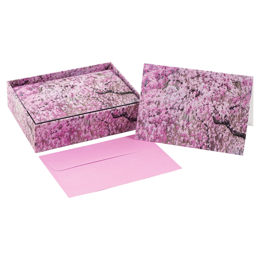 Cherry Blossoms Boxed Notecards Contents