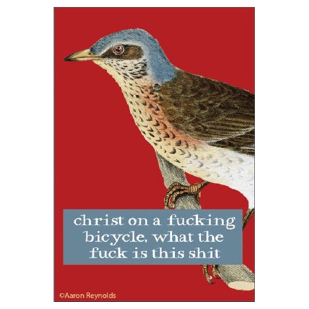 Christ On A Bicycle Bird Magnet.