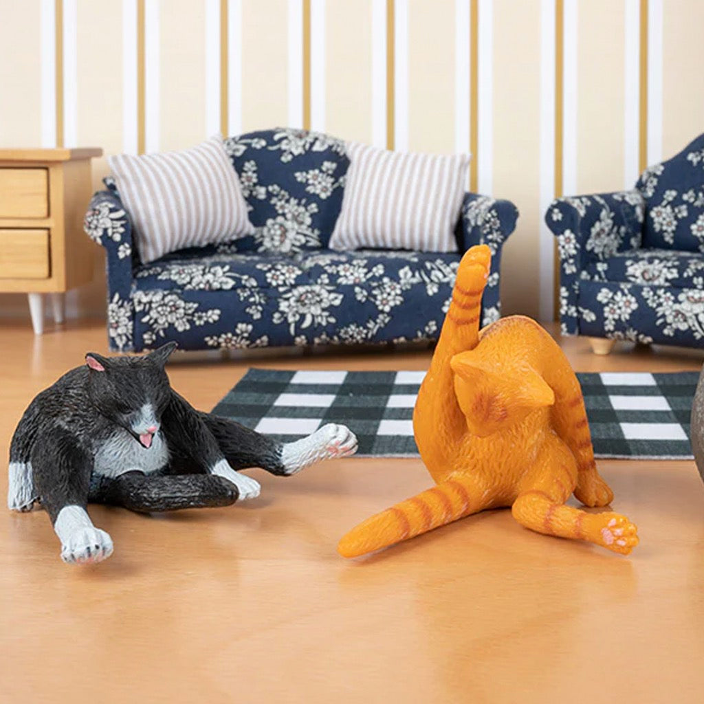 Cleaning Kitties on floor.