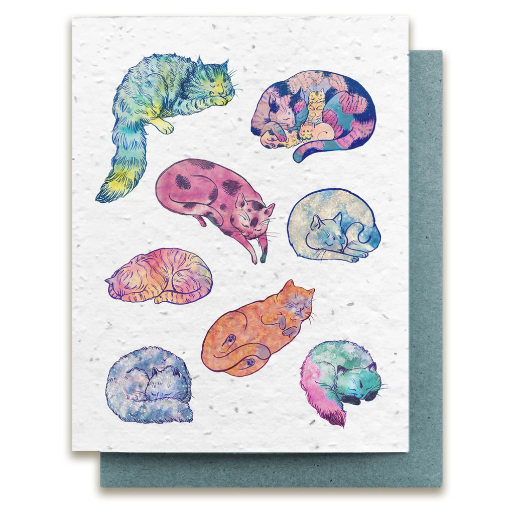 Colourful Cozy Cats Seed Paper Card