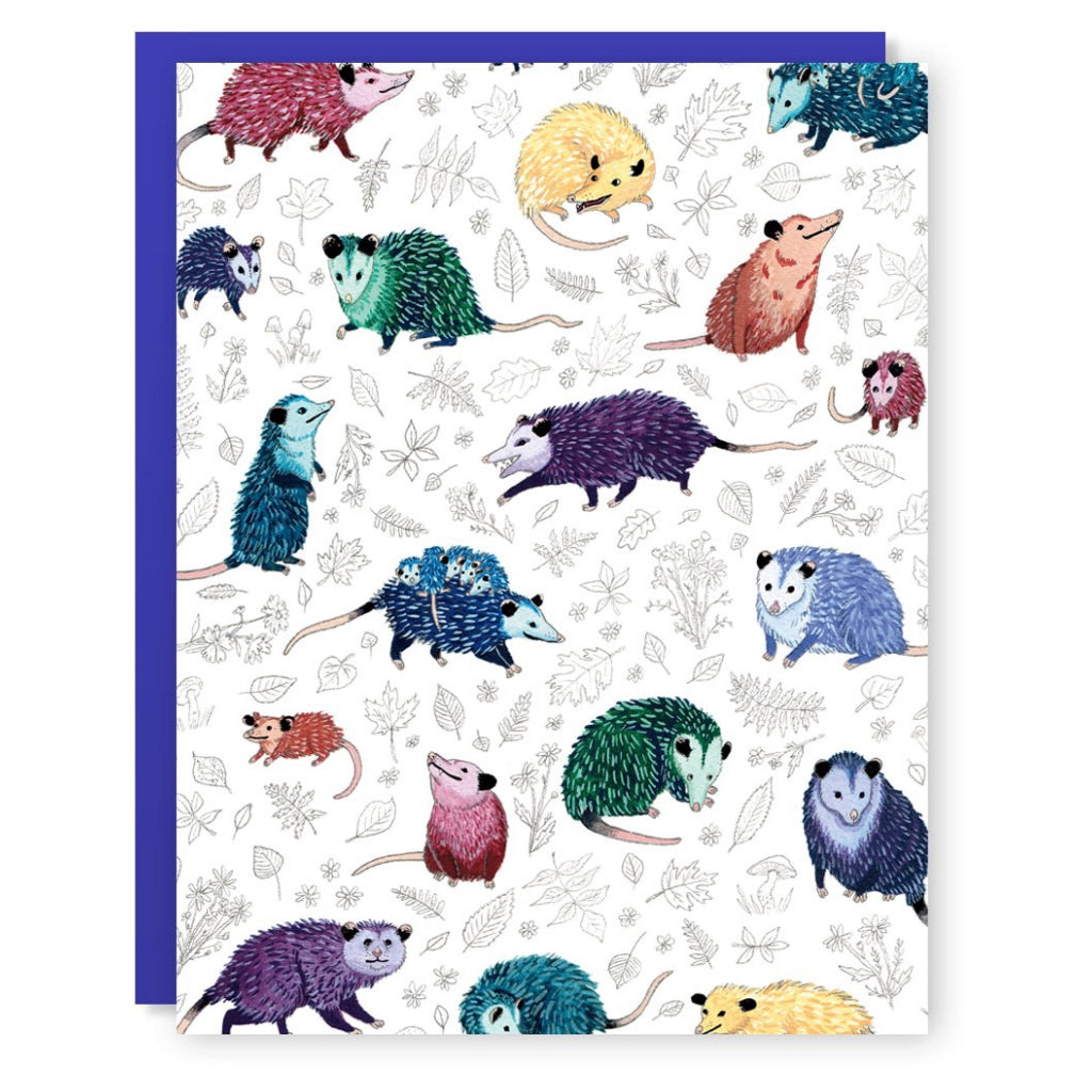 Colourful Possum Card