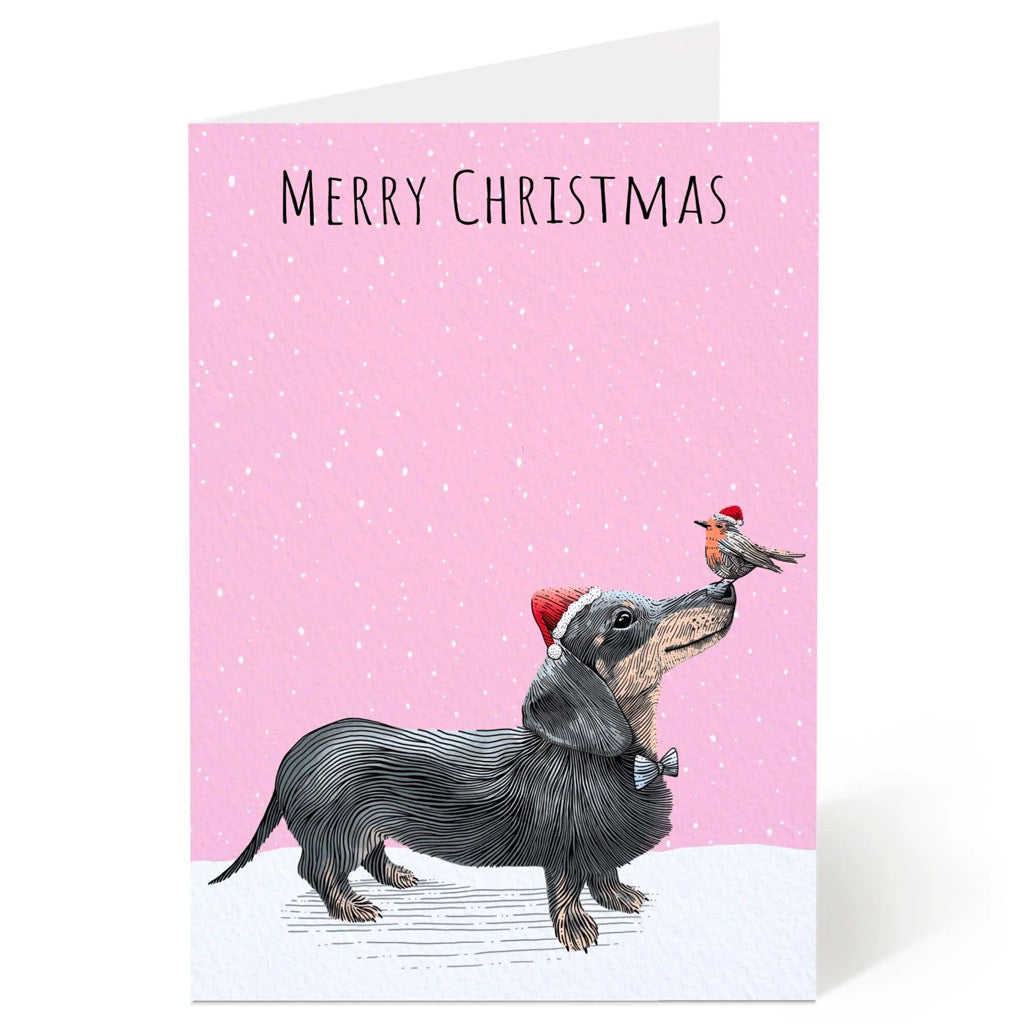 Dachshund With Robin Christmas Card.