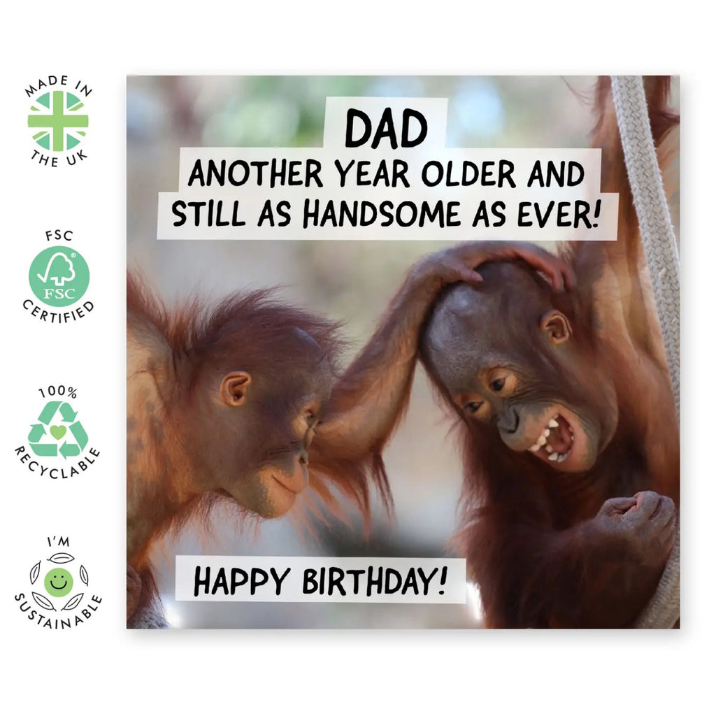 Dad Another Year Older Birthday Card environmental features.