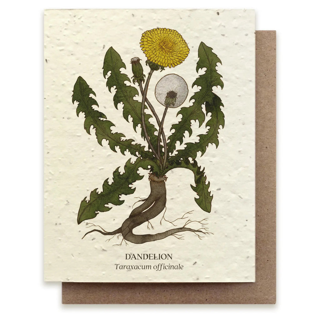 Dandelion Seed Paper Card