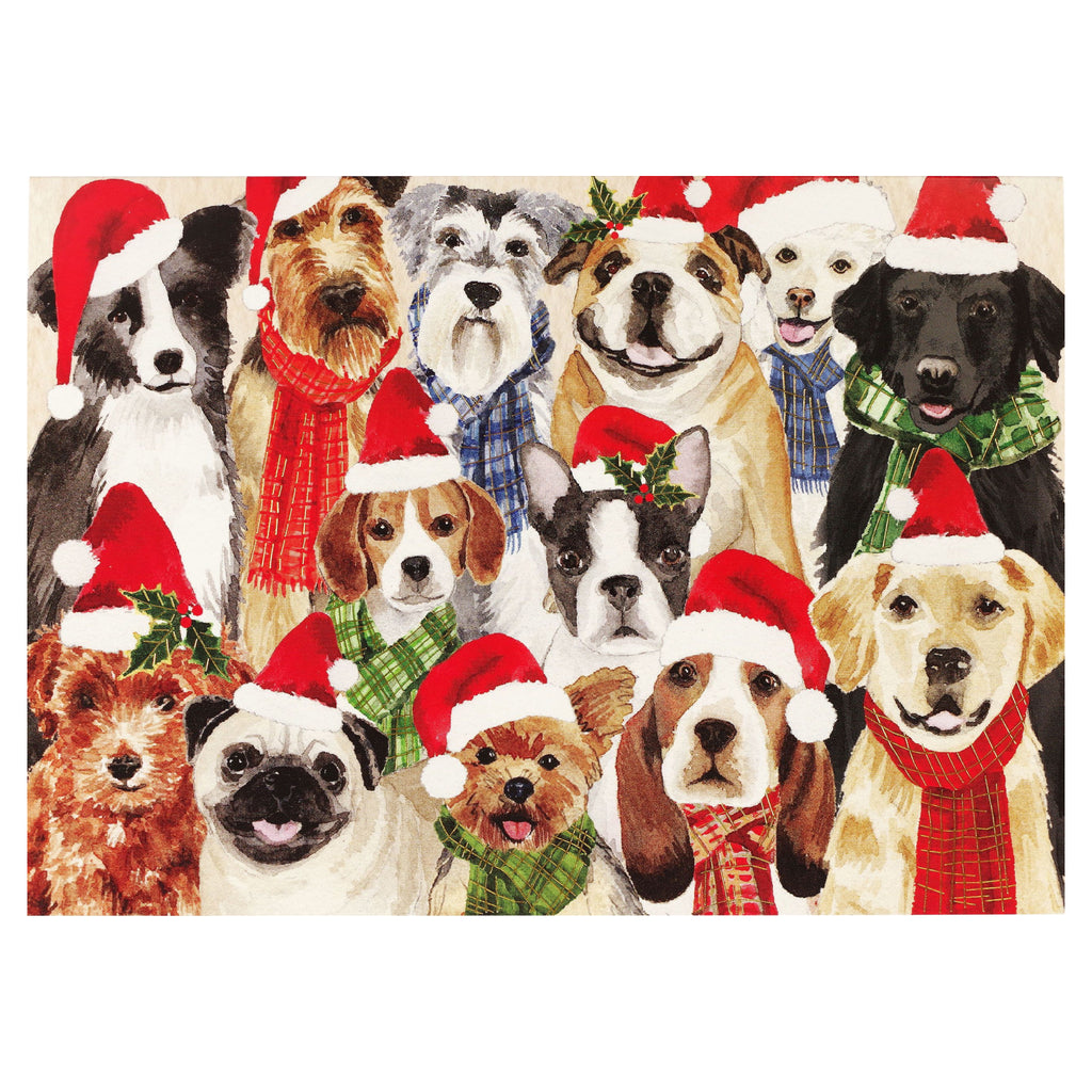 Deck The Dogs Boxed Holiday Cards