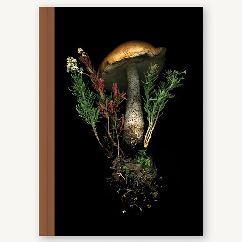 Deep Dark Forest Mushroom Journal
.
