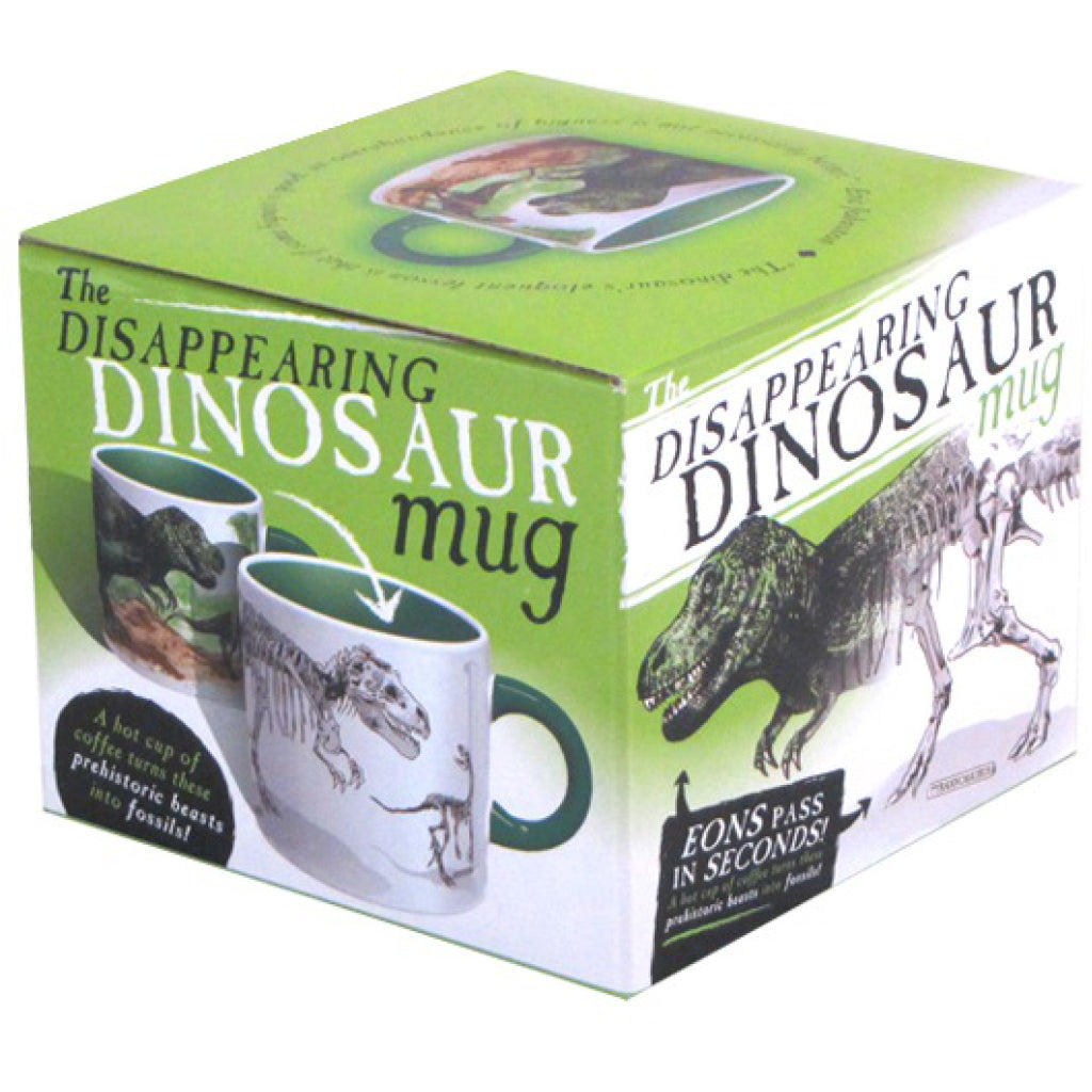Dinosaur Mug box