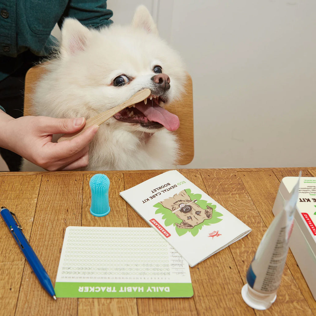 Dog Eco Dental Care Kit.
