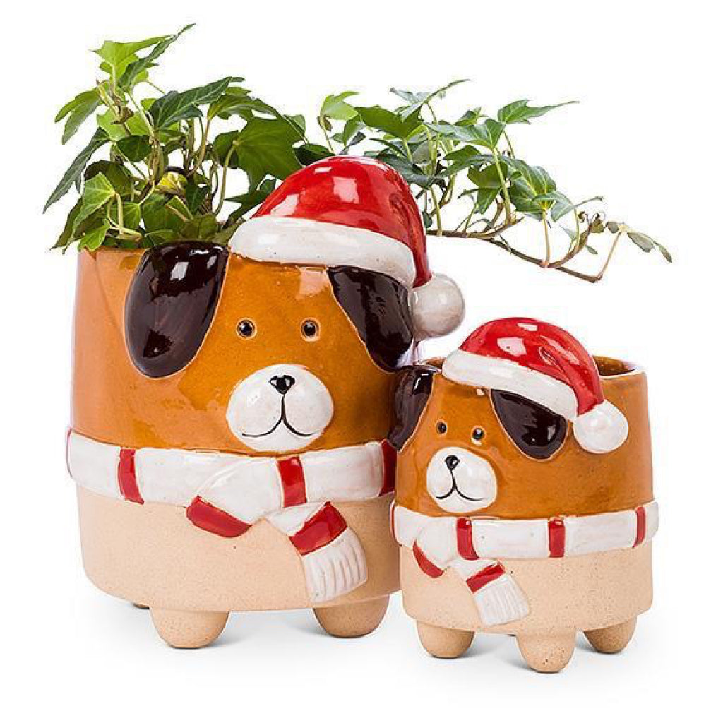 Dog In Santa Hat Planter Large with plants.