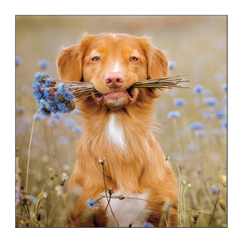 Dog With Wildflowers Card