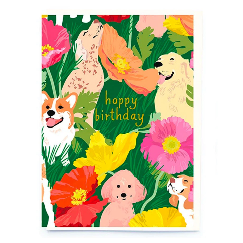 Dogs  Poppies Birthday Cards