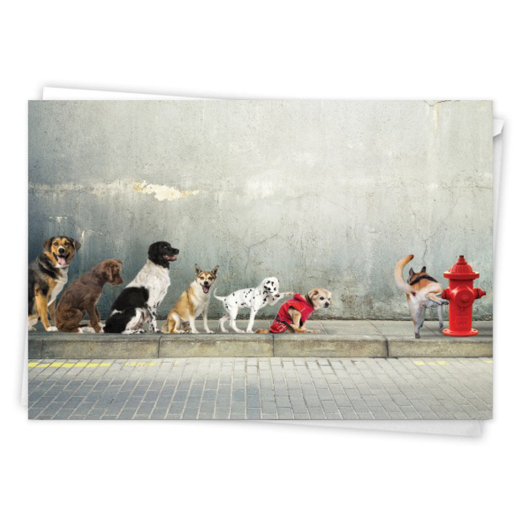 Dogs Peeing On Hydrant Birthday Card.