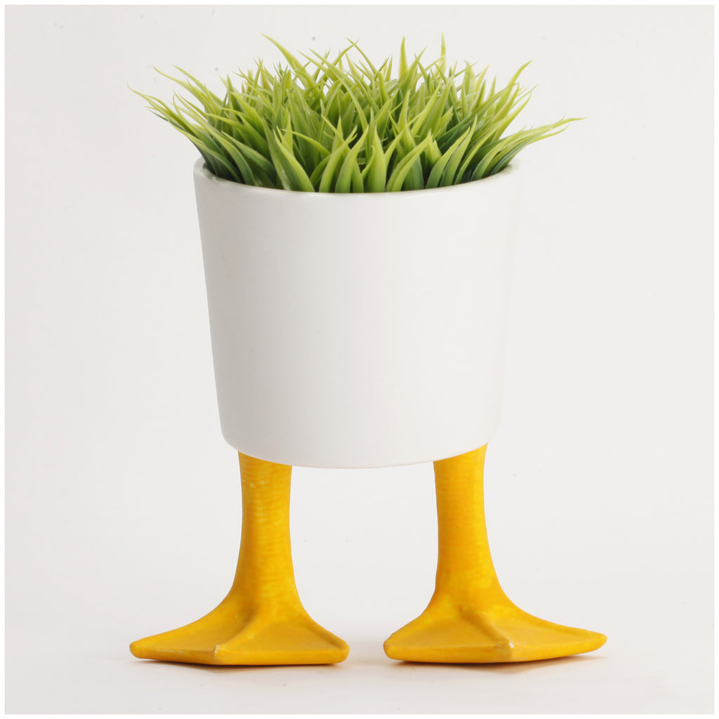Duck Feet Planter Large with plant.
