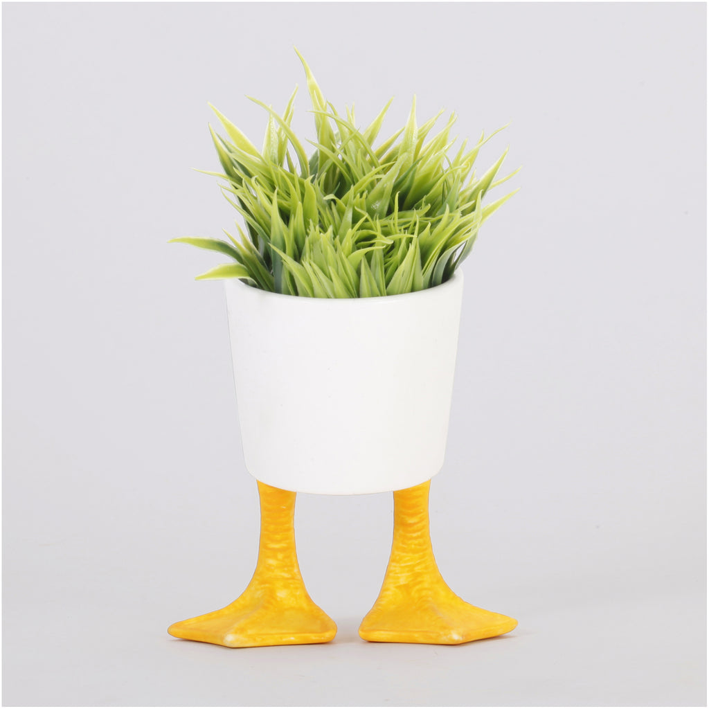 Duck Feet Planter Small with plant.