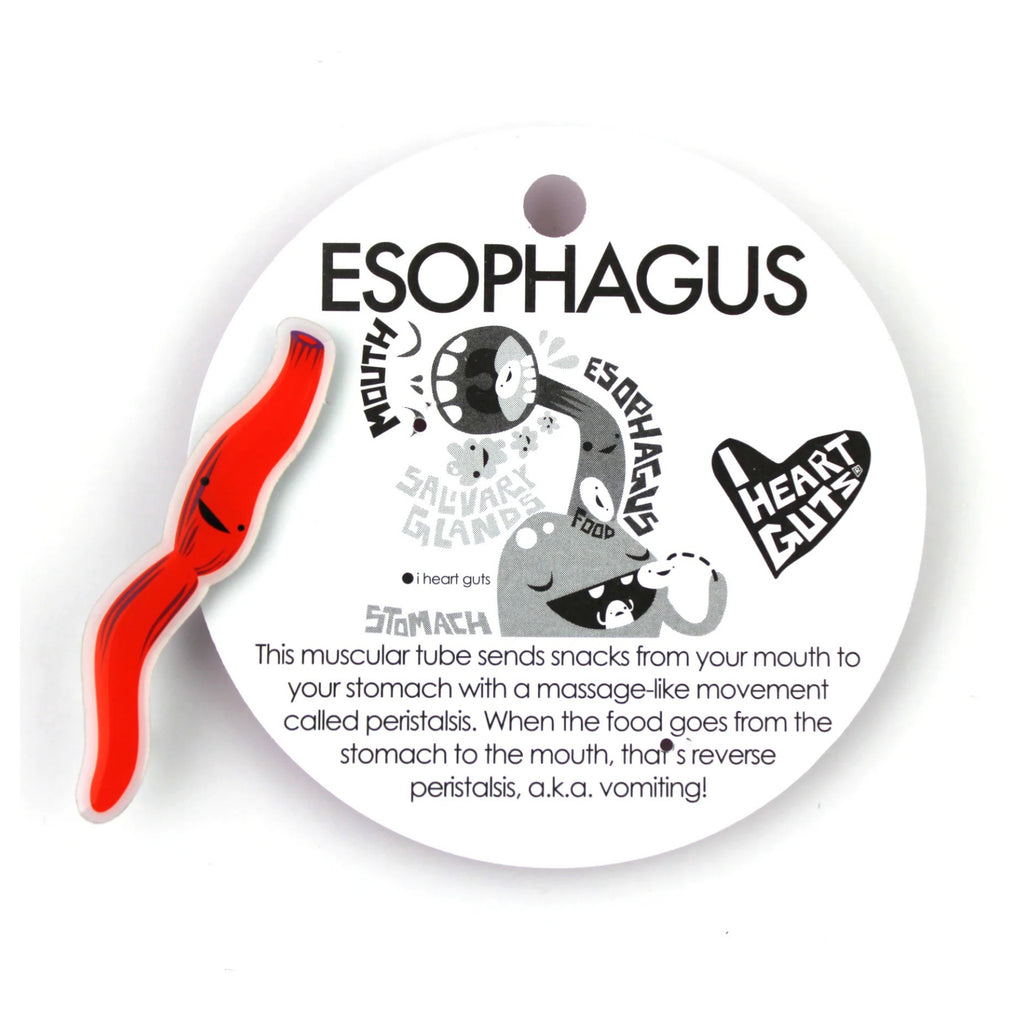 Esophagus Lapel Pin packaging.