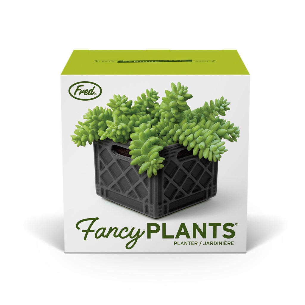 Fancy Plants Milk Crate Planter packaging.