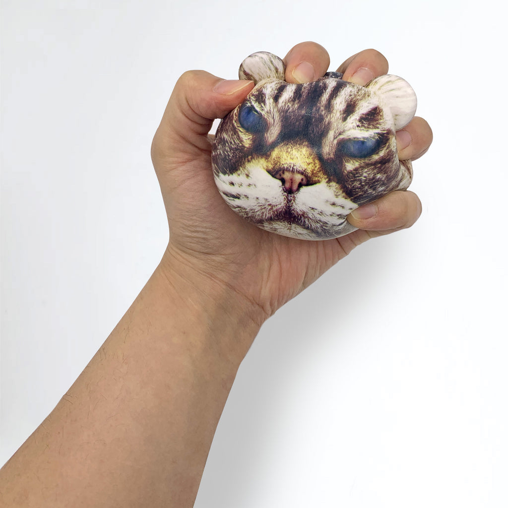 Feline Fine Stress Ball Lifestyle