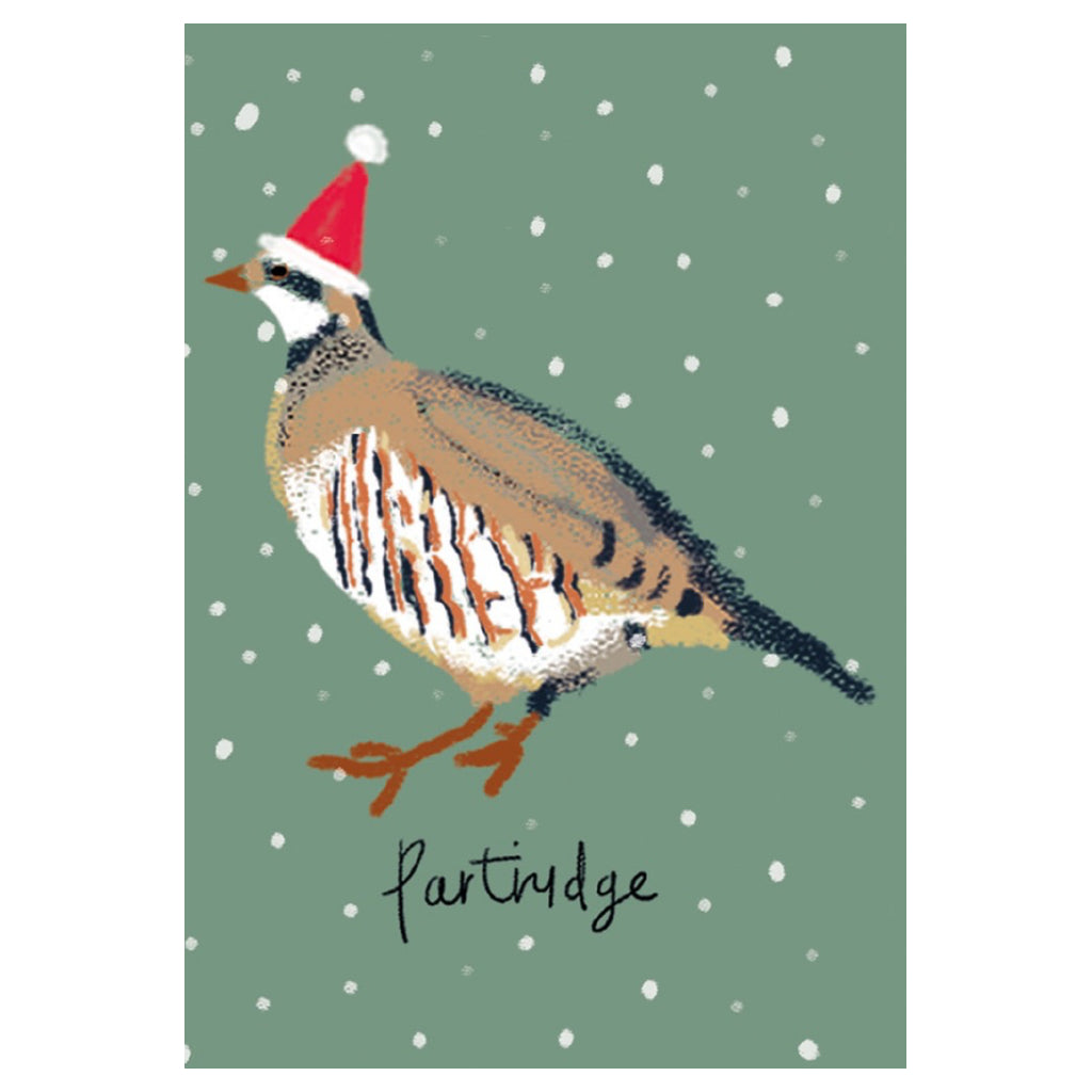 Festive Birds Cube Box Holiday Cards Partridge