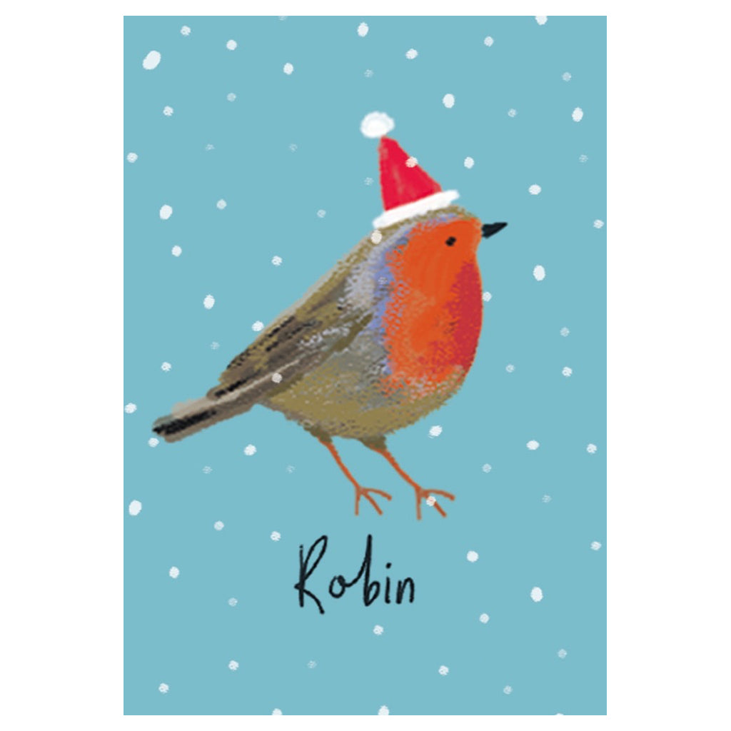 Festive Birds Cube Box Holiday Cards Robin