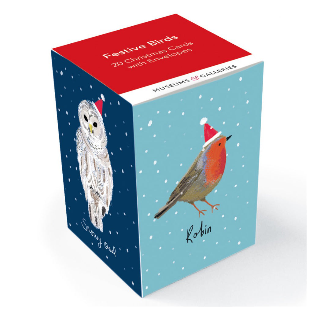 Festive Birds Cube Box Holiday Cards