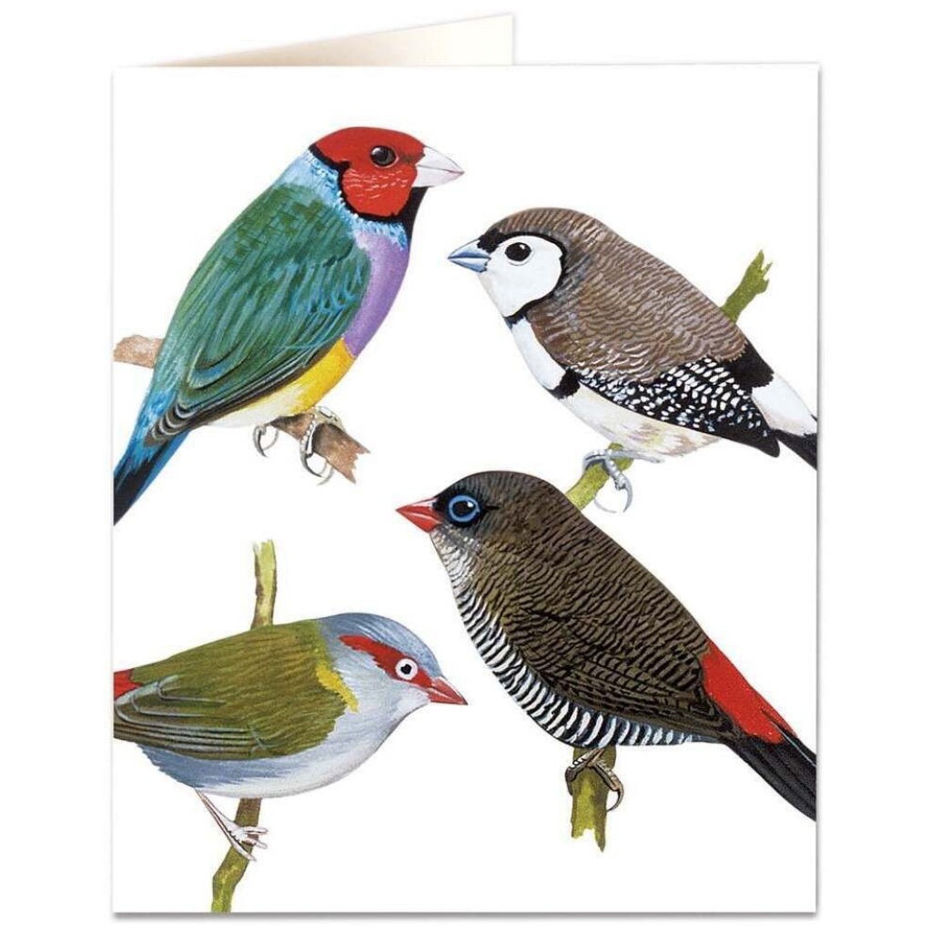 Finches Card.