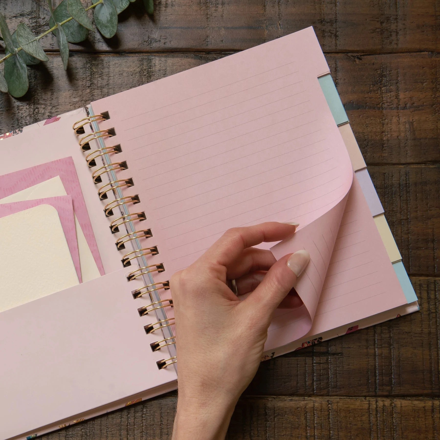 Floral Moth Tabbed Spiral Notebook | Studio Oh – Outer Layer