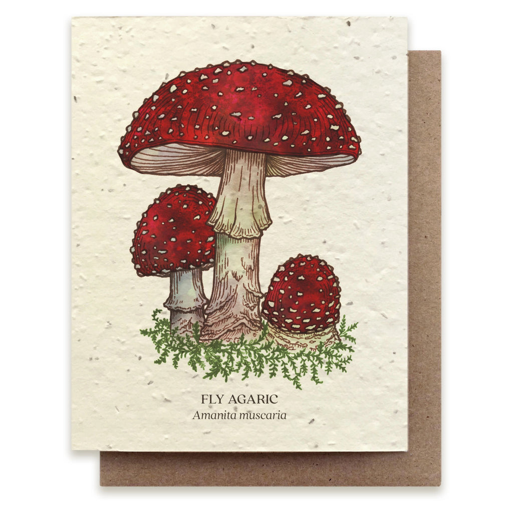 Fly Agaric Mushroom Seed Paper Card