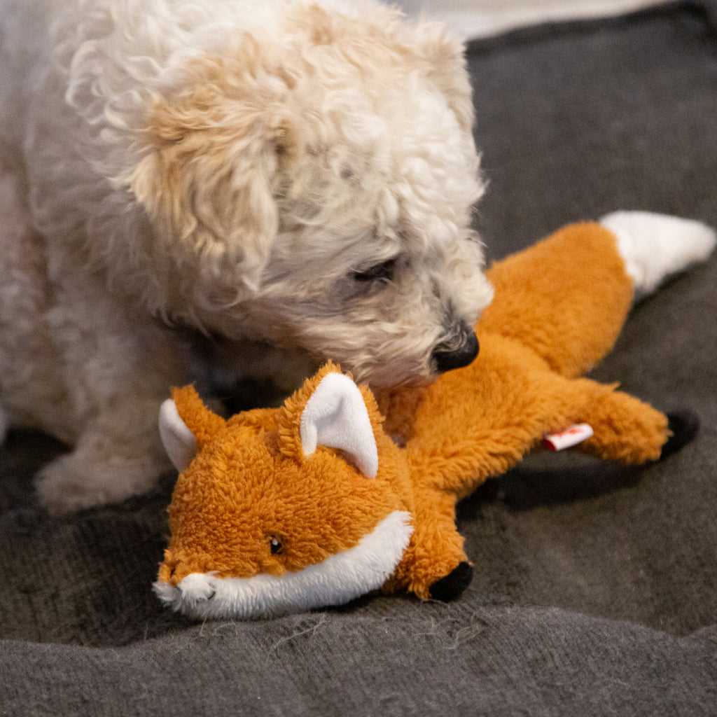 Flying Fox Dog Toy with dog.