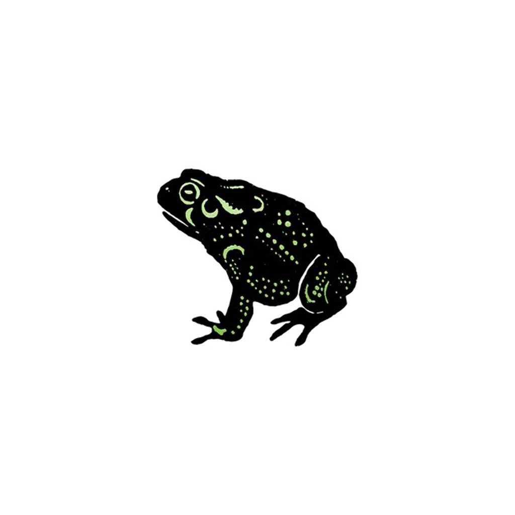 Frog temporary tattoo.