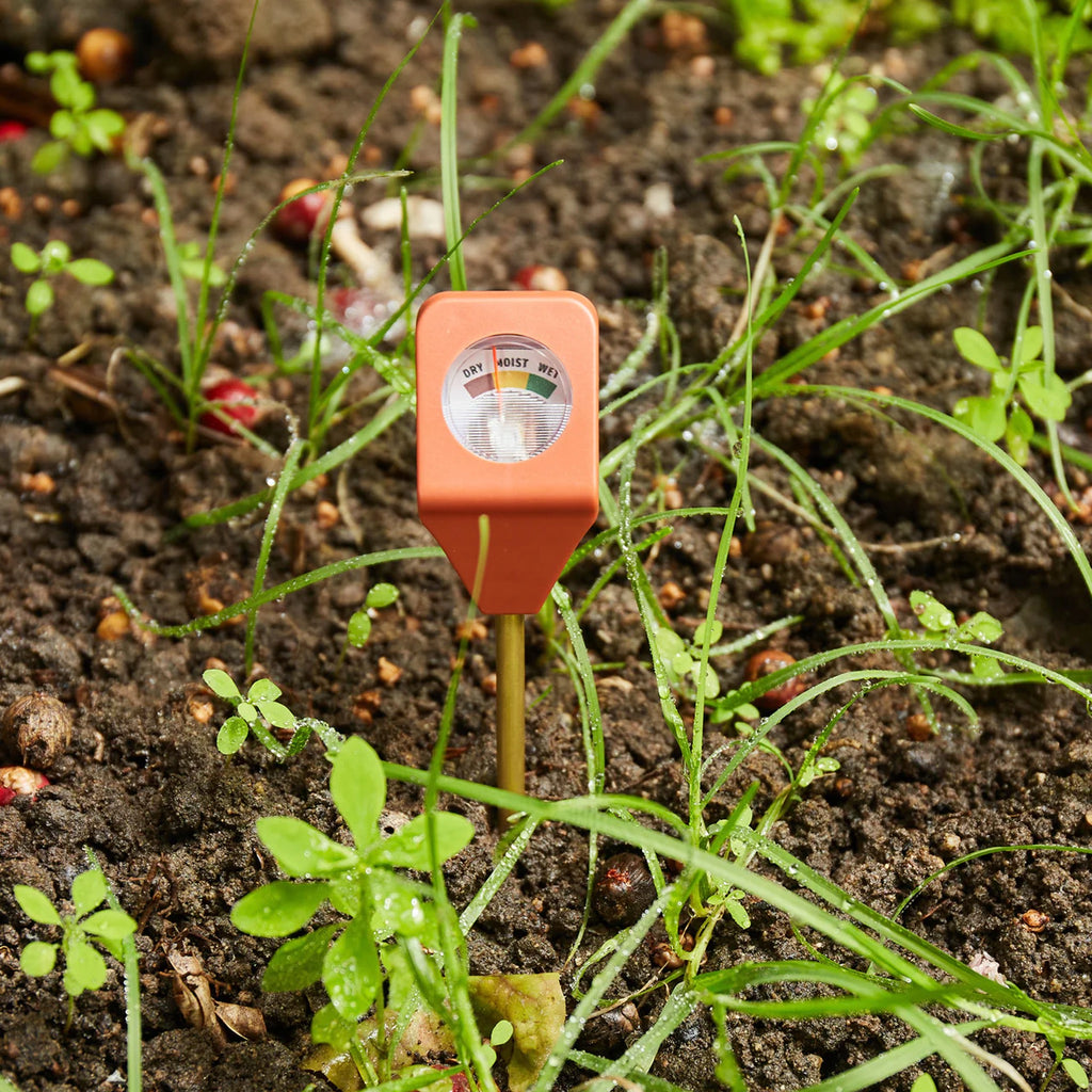 Garden Hydrometer in soil.