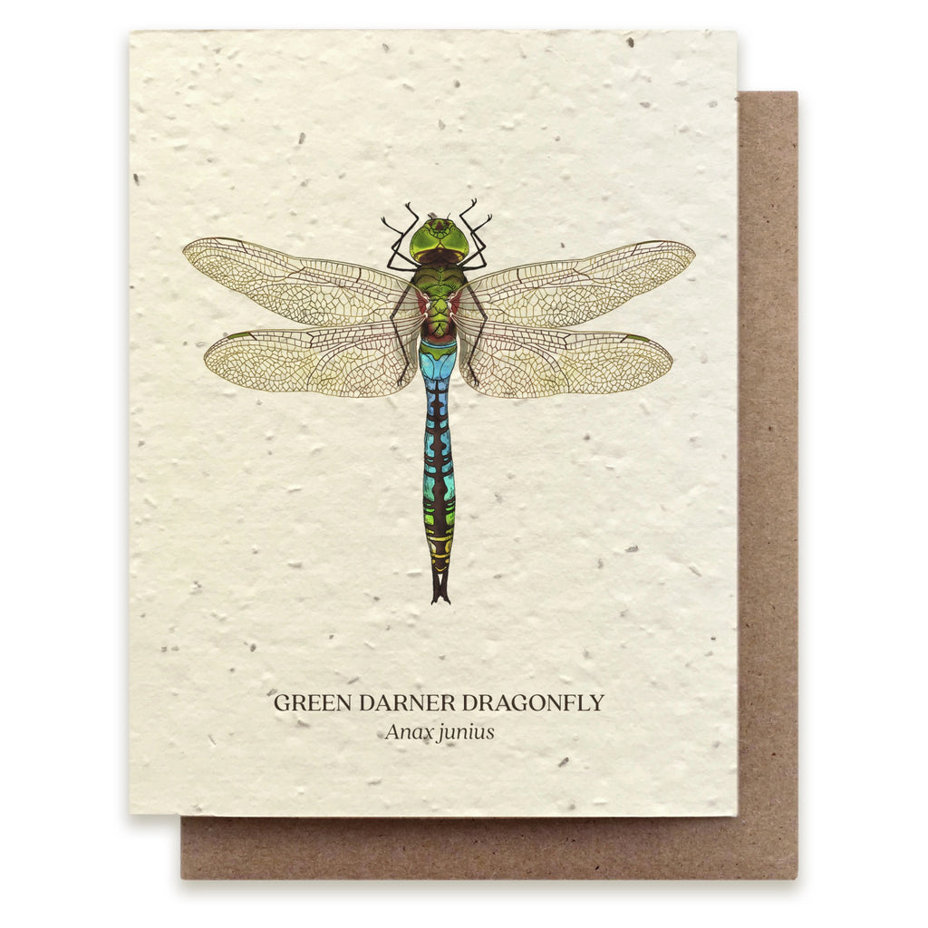 Green Darner Dragonfly Seed Paper Card