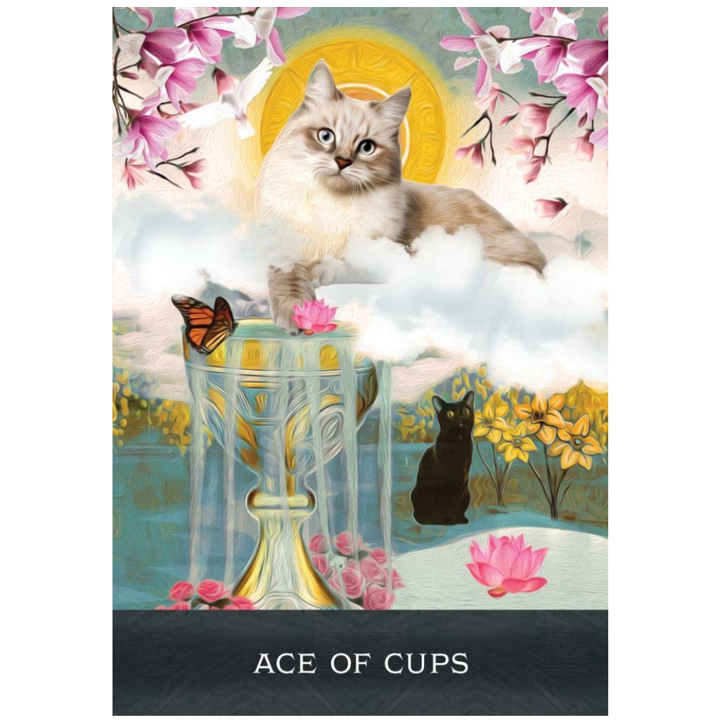 Grimalkin's Curious Cats Tarot sample card 4.