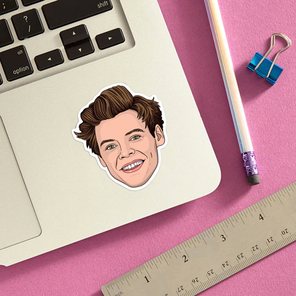 Harry Styles Face Sticker On Computer