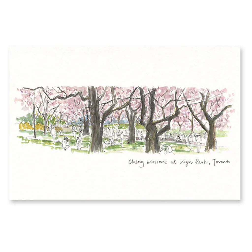 High Park Cherry Blossoms Postcard.