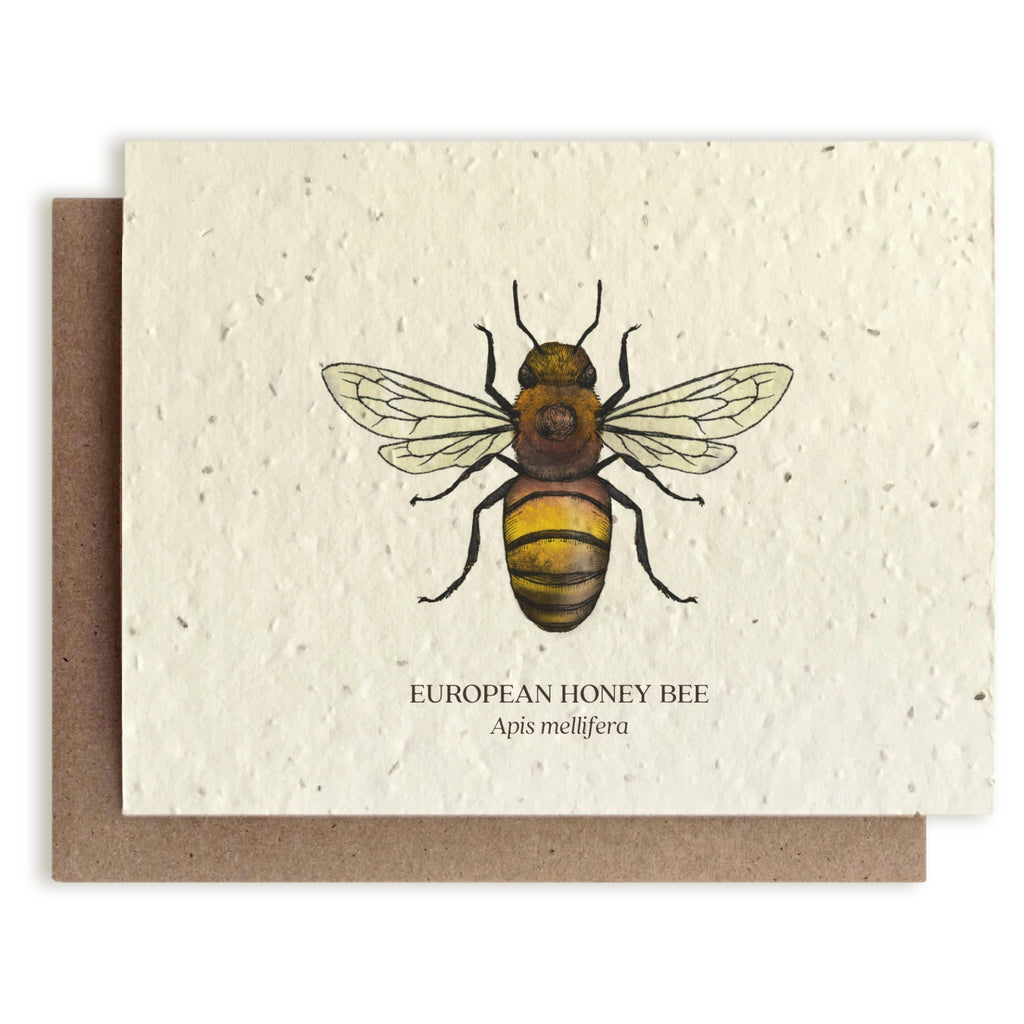 Honey Bee Seed Paper Card