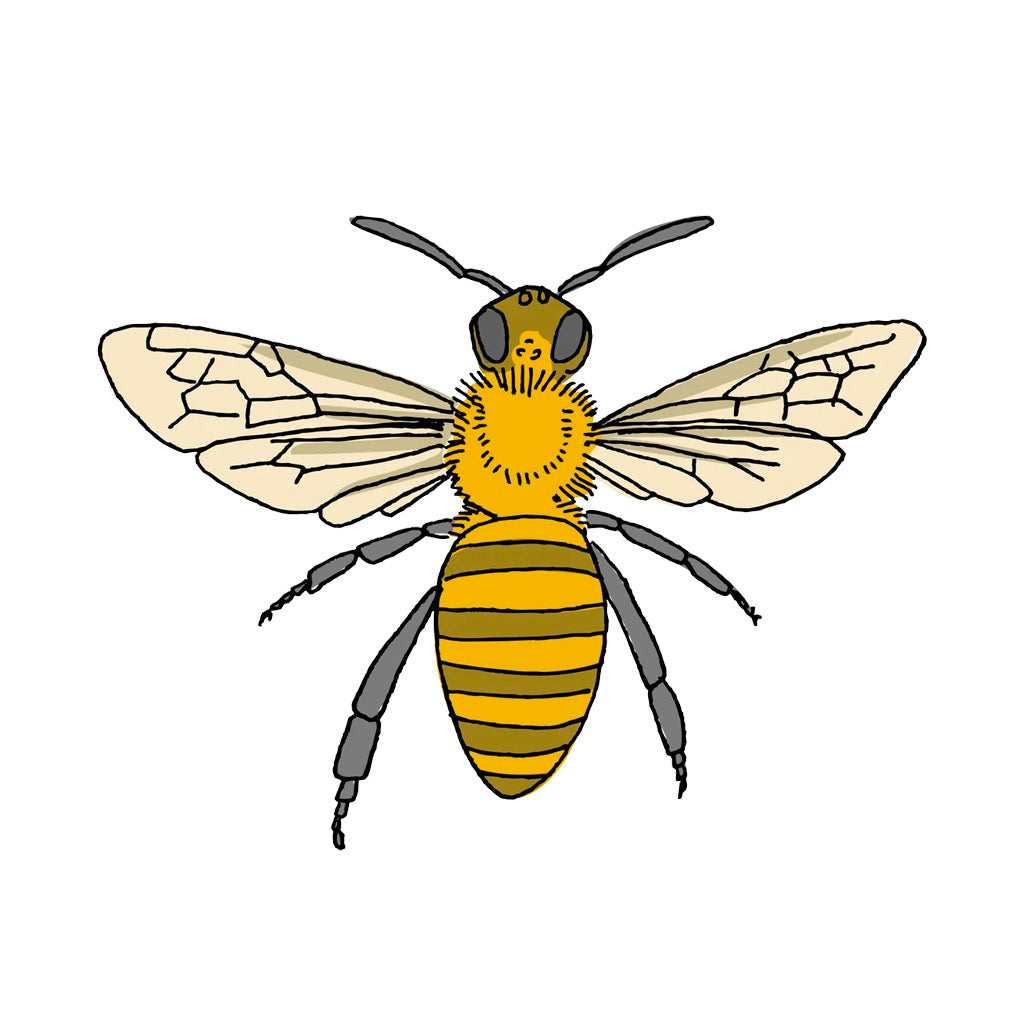 Honey Bee Tattoo.